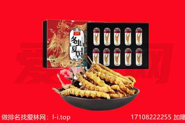 漳州市龙文回收虫草.jpg